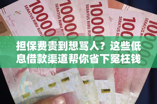 济南担保费贵到想骂人？这些低息借款渠道帮你省下冤枉钱