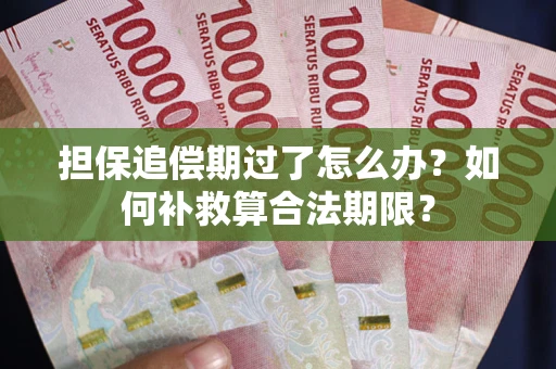 济南担保追偿期过了怎么办？如何补救算合法期限？