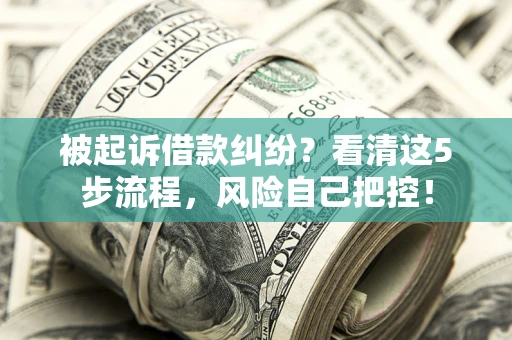 济南被起诉借款纠纷？看清这5步流程，风险自己把控！